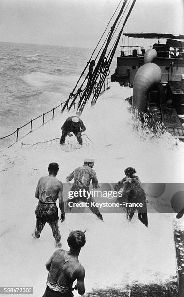 Cette photo a été prise par William MacGill de Philadelphie, à bord d'un navire par une mer démontée et lui a valu un prix de 200 dollars au concours...