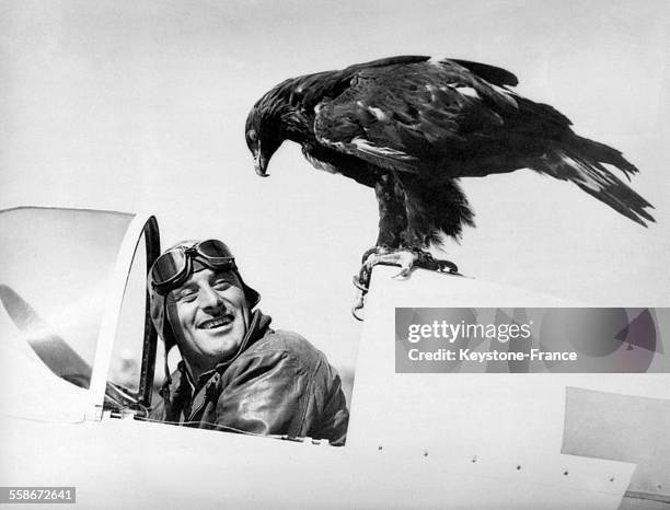 Homme dans un avion et un aigle.