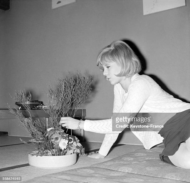 Sylvie Vartan, dans un grand restaurant japonais des Champs-Elysees, dispose des fleurs dans une coupe, le 11 fevrier 1965 a Paris, France.