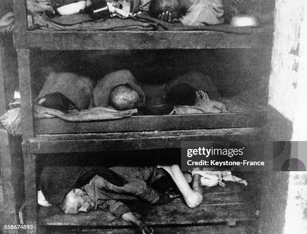 Déportés à l'intérieur d'un baraquement dans le camp de Bergen-Belsen, circa 1940, Belsen, Basse-Saxe, Allemagne.