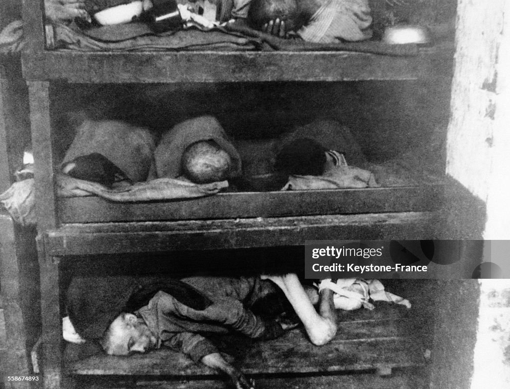 Le camp de concentration de Bergen Belsen