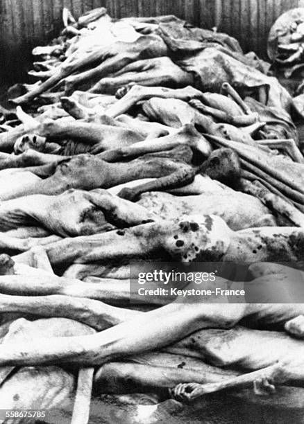 Charnier dans le camp de concentration de Mauthausen le 5 mai 1945, près de Linz, Haute-Autriche.