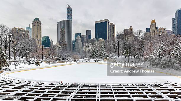 snowy central park trump ice rink - central park snow stock pictures, royalty-free photos & images