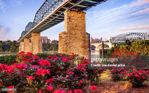 walnut street bridge, chattanooga, tennessee, us - chattanooga foto e immagini stock