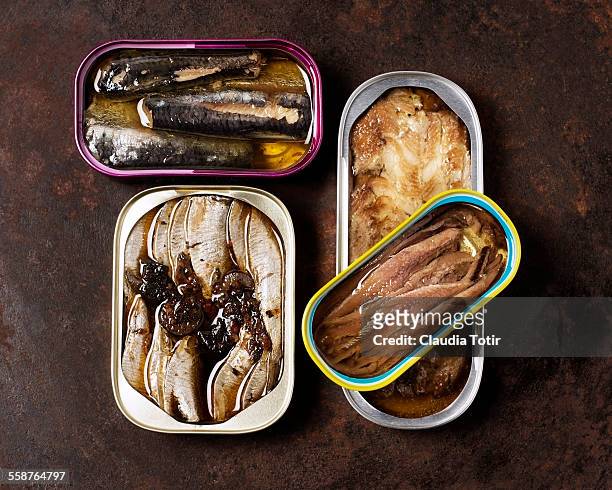canned fish - kans foto e immagini stock