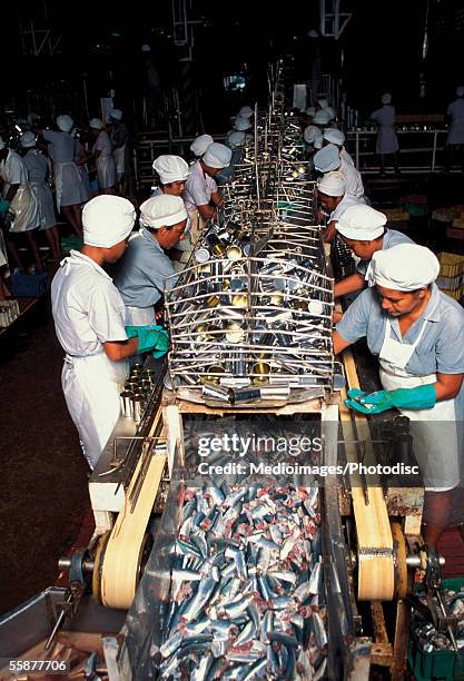 Cod Fish Processing Plant 3,032 Fish Processing Facility Stock Photos, High-Res Pictures, and ...