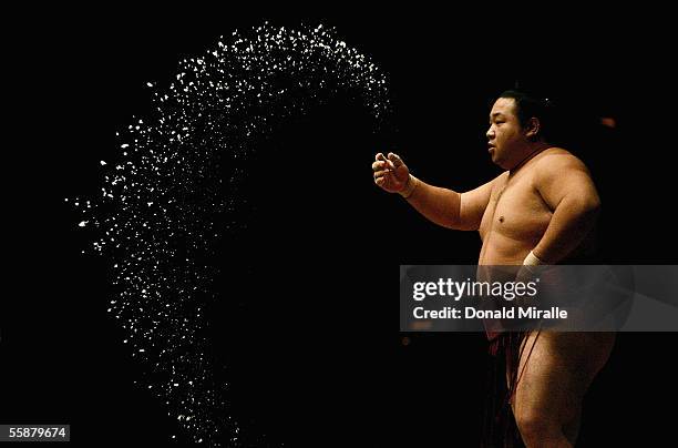 Sumo Wrestler Chiyotaikai of Japan throws salt in the air to purify the ring at the start of a round during the Grand Sumo Championship on October 7,...