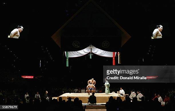 Asashoryu, Yokozuna Grand Champion Sumo Wrestler of Japan, stares down a competitor underneath the Dohyo sumo ring during the Grand Sumo Championship...