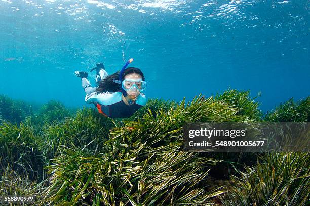 snorkeling - scuba diving girl 個照片及圖片檔