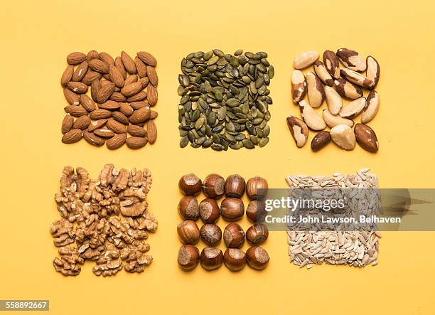 nuts and seeds, neatly organised - sonnenblumenkerne stock-fotos und bilder