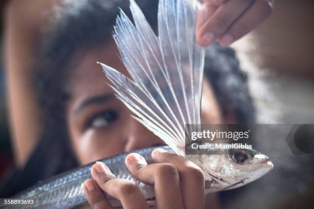 flying fish - flying fish stock pictures, royalty-free photos & images