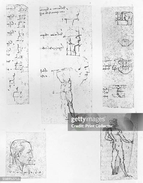 Five drawings illustrating the theory of the proportions of the human figure, c1472-c1519 . From The Literary Works of Leonardo Da Vinci, Vol. 1 by...