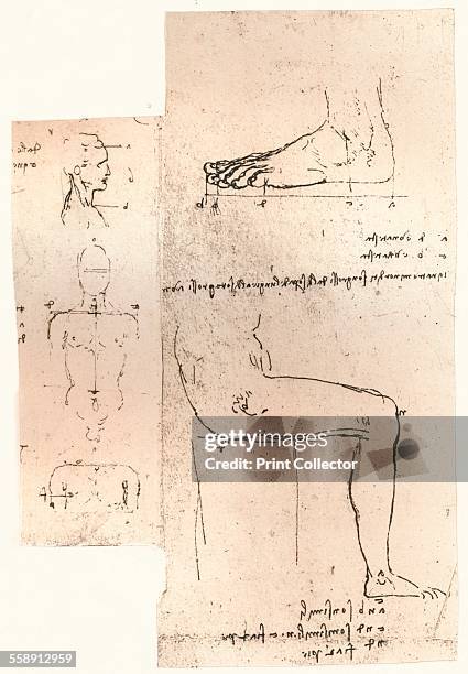 Two drawings illustrating the theory of the proportions of the human figure, c1472-c1519 . From The Literary Works of Leonardo Da Vinci, Vol. 1 by...