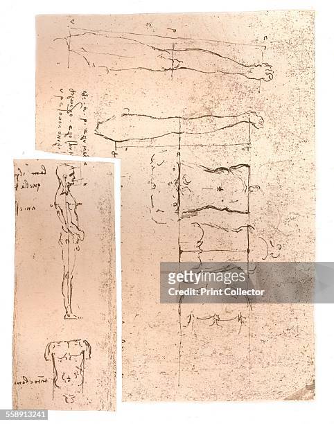 Two drawings illustrating the theory of the proportions of the human figure, c1472-c1519 . From The Literary Works of Leonardo Da Vinci, Vol. 1 by...