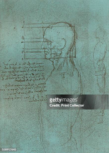 Drawing in silverpoint on bluish-toned paper, illustrating the theory of the proportions of the human figure, c1472-c1519 . From The Literary Works...