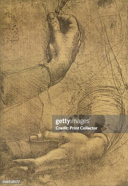 Silver Point Images 89 Silverpoint Drawings Stock Photos, High-Res Pictures, and Images ...