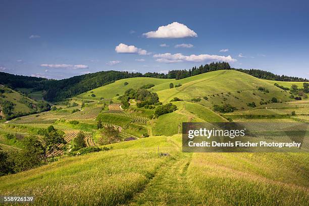kaiserstuhl summer landscape - paysage vallonné photos et images de collection
