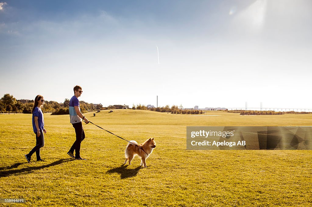 Full length of couple with dog walking at park on sunny day