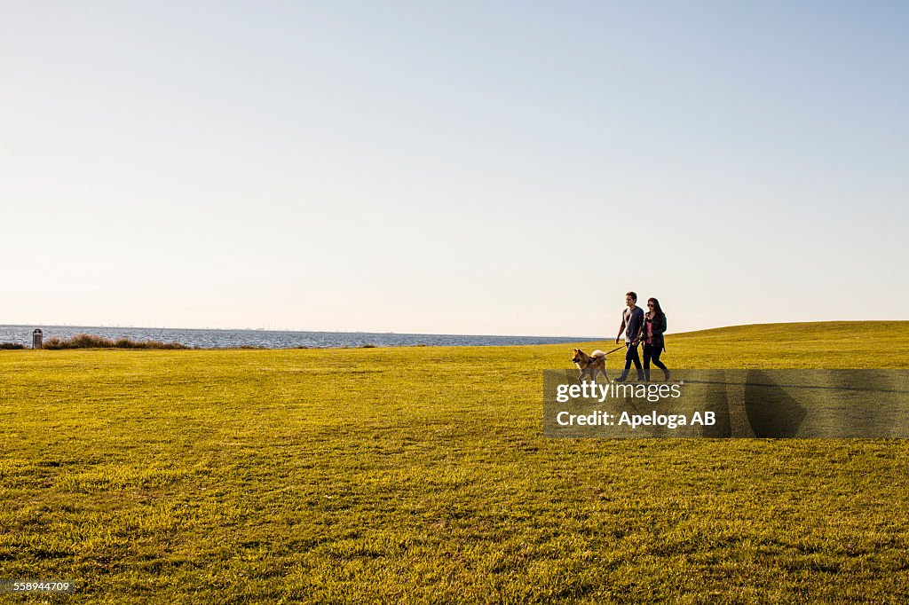 Couple with dog walking on grassy landscape against clear sky