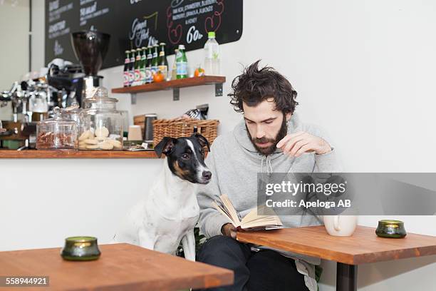 dog with man reading book at cafeteria - 犬　人　カフェ ストックフォトと画像