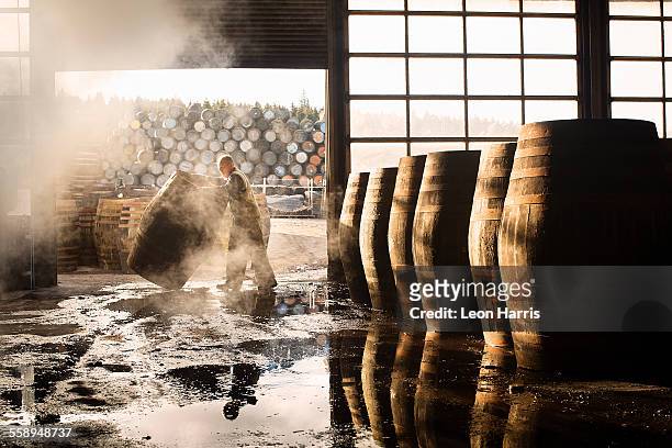 male cooper working in cooperage with whisky casks - whiskey stock pictures, royalty-free photos & images
