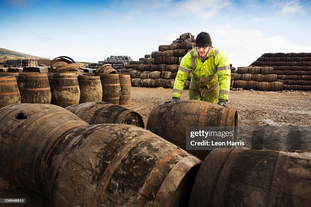 Young man rolling whisky cask at cooperage