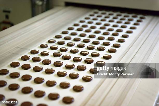 chocolates on production line in chocolate factory - fábrica de chocolate fotografías e imágenes de stock