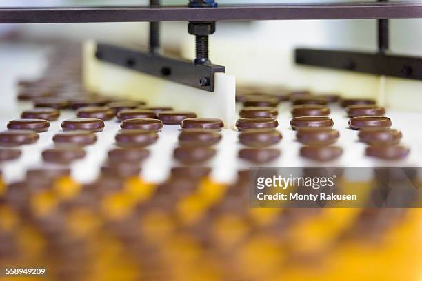 chocolates on production line in chocolate factory - candy factory stockfoto's en -beelden