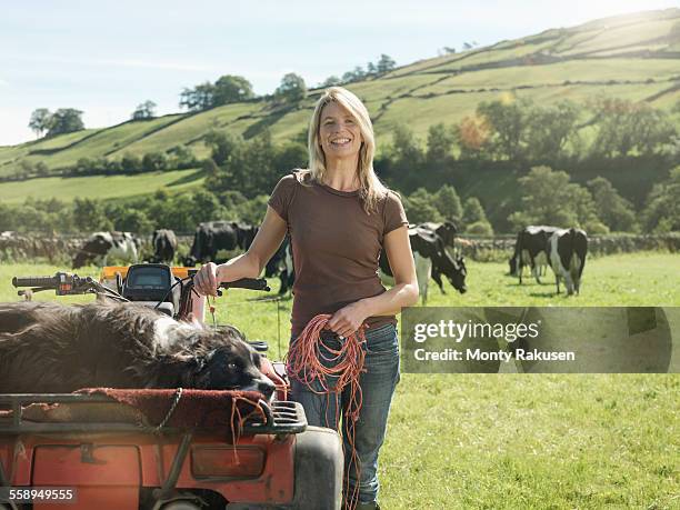 portrait of female farmer in field with cows - vrouwtjesdier stockfoto's en -beelden