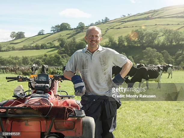 farmer in field with cows and quadbike - quad bildbanksfoton och bilder