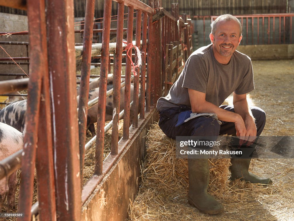 Farmer taking a break in barn with pigs, portrait