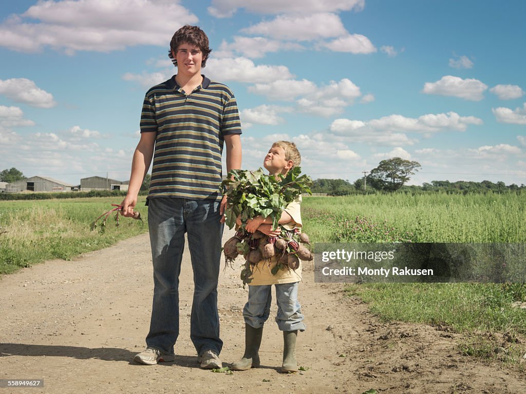 Tall and smaller farmers sons carrying armful of organic beetroot