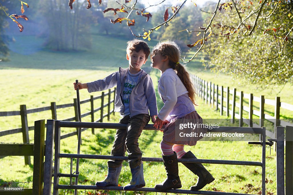 Girl whispering to twin brother whilst climbing over footpath gate