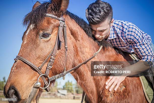 young man on horse - nuzzling foto e immagini stock