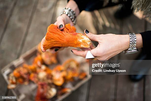womans hands holding lobster mushroom - hypomyces-lactifluorum fotografías e imágenes de stock