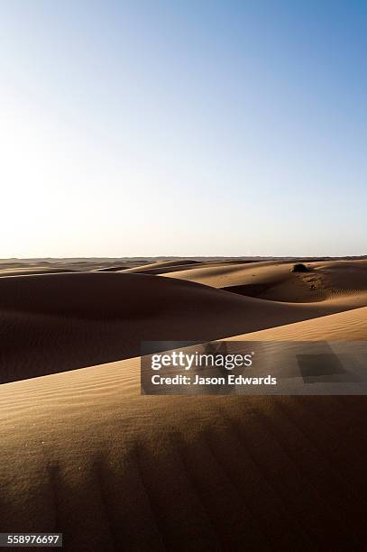 sunset caressing the crests of red sand dune waves in the desert. - oman landscape stock pictures, royalty-free photos & images