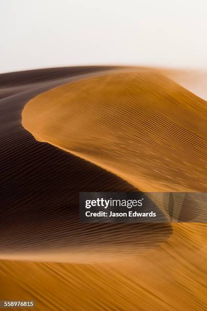 sunset caressing the crests of red sand dune waves and howling wind in the desert. - duna - fotografias e filmes do acervo