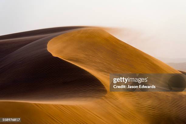 sunset caressing the crests of red sand dune waves and howling wind in the desert. - oman foto e immagini stock