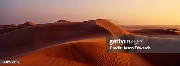 sunset shines on sand dunes in the desert. - duinen stockfoto's en -beelden