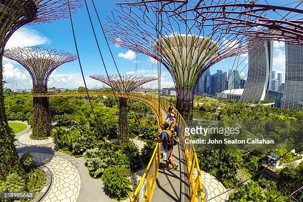 skywalking at gardens by the bay - singapore gardens stock-fotos und bilder