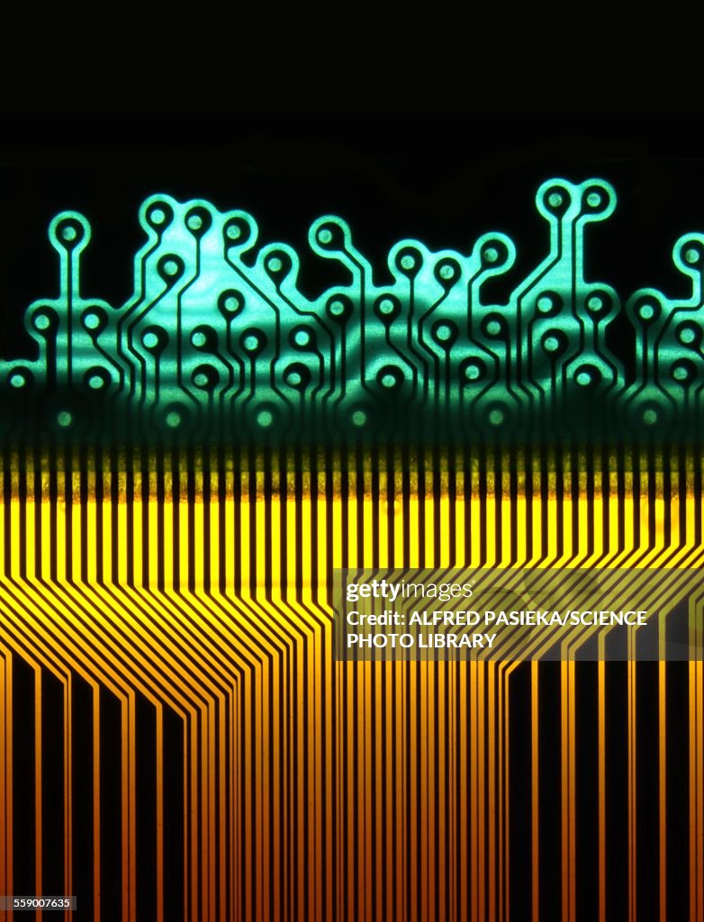 Printed circuit, macrophotograph