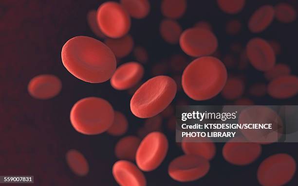 stockillustraties, clipart, cartoons en iconen met red blood cells, illustration - bloedcel