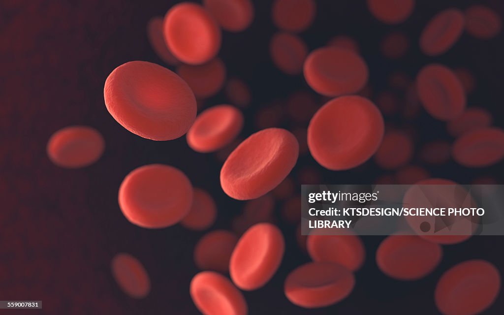 Red blood cells, illustration