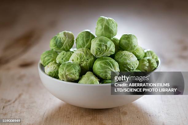 brussels sprouts in bowl - rosenkohl stock-fotos und bilder