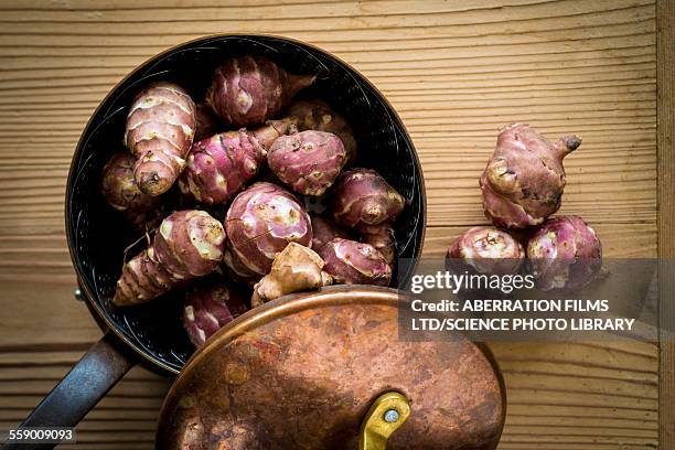 jerusalem artichokes in saucepan - jerusalem artichoke stock pictures, royalty-free photos & images