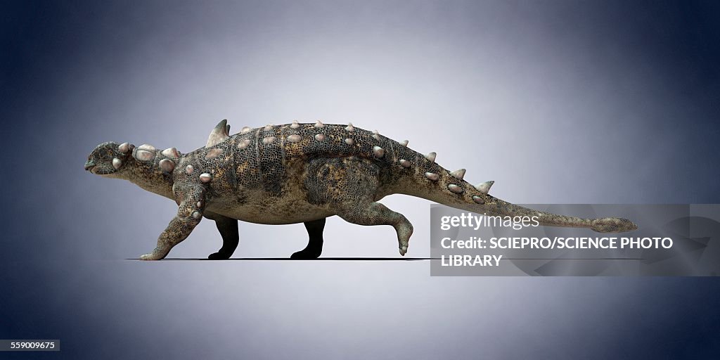 Euoplocephalus, illustration