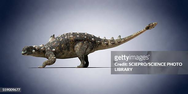 euoplocephalus, illustration - ankylosaurus stock illustrations