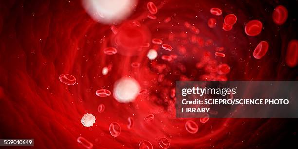 ilustraciones, imágenes clip art, dibujos animados e iconos de stock de red blood cells, illustration - red blood cell