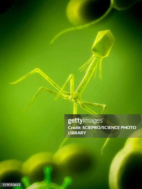 nanobot, illustration - nanobot stock-grafiken, -clipart, -cartoons und -symbole