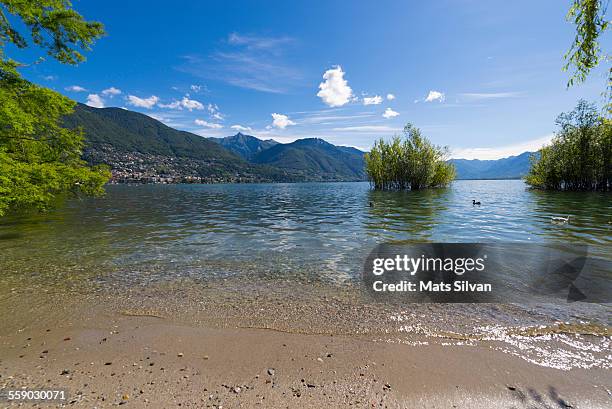 beach in switzerland - kanton tessin stock-fotos und bilder